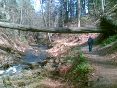 Dresdener Heide romantisches Priesnitztal